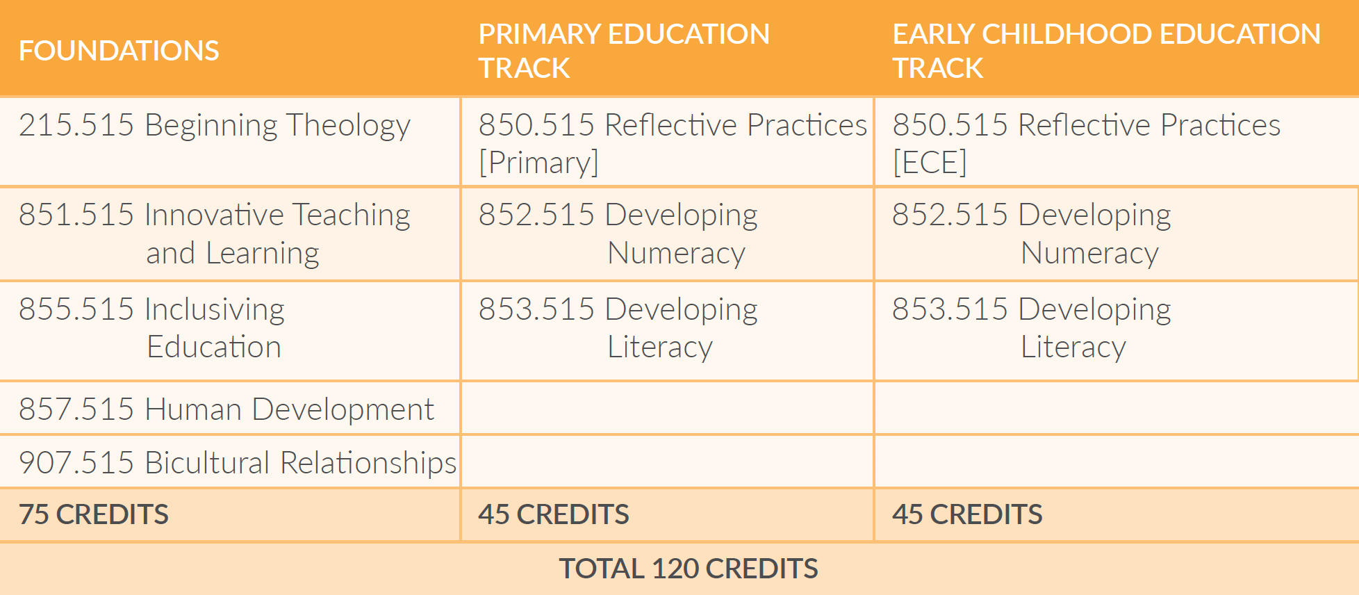 Diploma in Christian Education Programme Requirements Diploma in Christian Education Programme Requirements